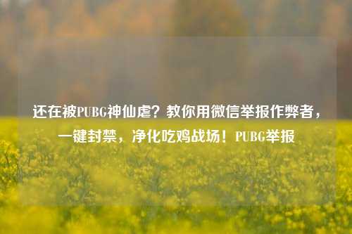 还在被PUBG神仙虐?教你用微信举报作弊者,一键封禁,净化吃鸡战场!PUBG举报