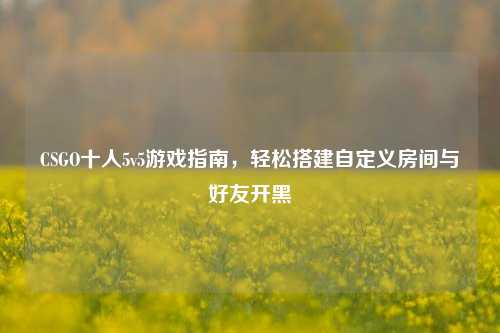 CSGO十人5v5游戏指南，轻松搭建自定义房间与好友开黑