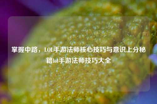 掌握中路，LOL手游法师核心技巧与意识上分秘籍lol手游法师技巧大全