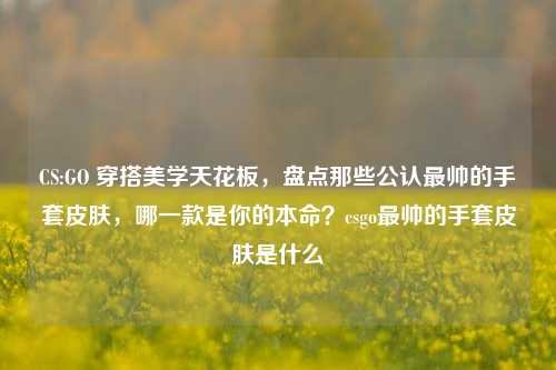CS:GO 穿搭美学天花板，盘点那些公认最帅的手套皮肤，哪一款是你的本命？csgo最帅的手套皮肤是什么