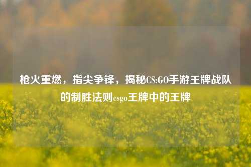 枪火重燃,指尖争锋,揭秘CS:GO手游王牌战队的制胜法则csgo王牌中的王牌