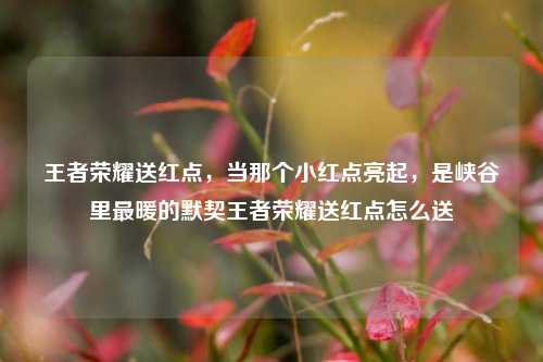 王者荣耀送红点,当那个小红点亮起,是峡谷里最暖的默契王者荣耀送红点怎么送