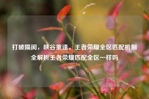 打破隔阂,峡谷重逢,王者荣耀全区匹配机制全解析王者荣耀匹配全区一样吗
