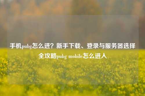 手机pubg怎么进？新手下载、登录与服务器选择全攻略pubg mobile怎么进入