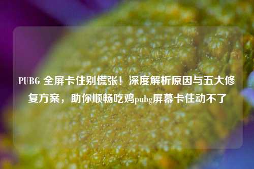 PUBG 全屏卡住别慌张!深度解析原因与五大修复方案,助你顺畅吃鸡pubg屏幕卡住动不了