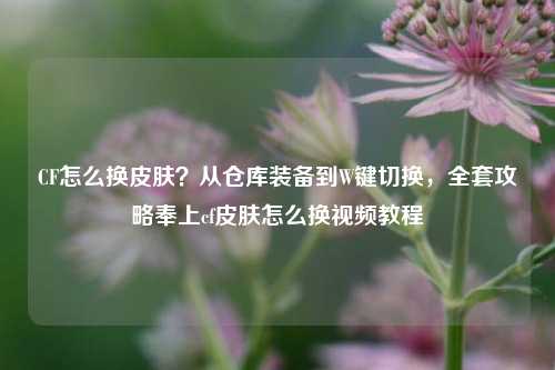 CF怎么换皮肤?从仓库装备到W键切换,全套攻略奉上cf皮肤怎么换视频教程