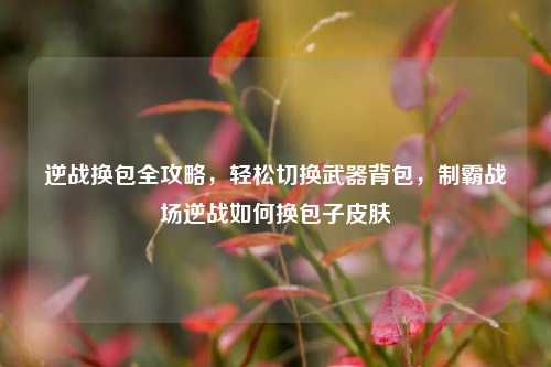 逆战换包全攻略，轻松切换武器背包，制霸战场逆战如何换包子皮肤