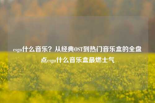csgo什么音乐?从经典OST到热门音乐盒的全盘点csgo什么音乐盒最燃士气