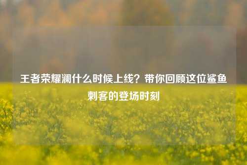 王者荣耀澜什么时候上线?带你回顾这位鲨鱼刺客的登场时刻