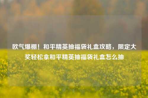 欧气爆棚!和平精英抽福袋礼盒攻略,限定大奖轻松拿和平精英抽福袋礼盒怎么抽