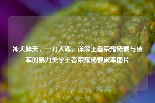 神犬哮天,一刀入魂,详解王者荣耀杨戬与破军的暴力美学王者荣耀杨戬破军图片