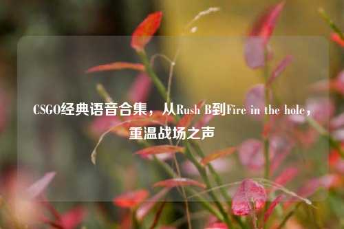 CSGO经典语音合集，从Rush B到Fire in the hole，重温战场之声