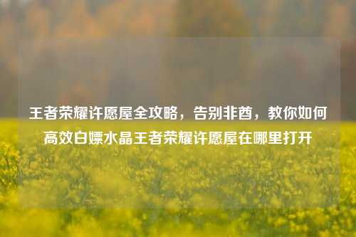 王者荣耀许愿屋全攻略,告别非酋,教你如何高效白嫖水晶王者荣耀许愿屋在哪里打开