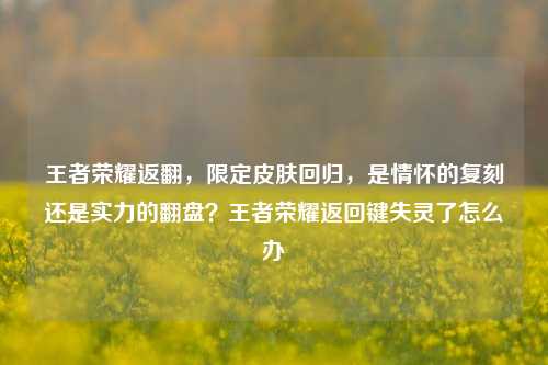 王者荣耀返翻,限定皮肤回归,是情怀的复刻还是实力的翻盘?王者荣耀返回键失灵了怎么办
