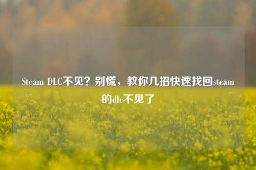 Steam DLC不见?别慌,教你几招快速找回steam的dlc不见了
