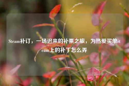 Steam补订,一场迟来的补票之旅,为热爱买单steam上的补丁怎么弄