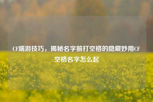 CF端游技巧,揭秘名字前打空格的隐藏妙用CF空格名字怎么起