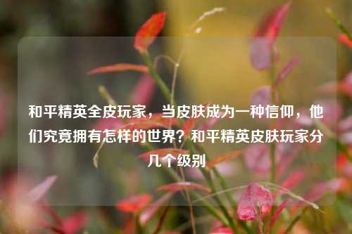 和平精英全皮玩家,当皮肤成为一种信仰,他们究竟拥有怎样的世界?和平精英皮肤玩家分几个级别