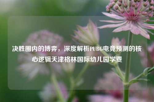 决胜圈内的博弈,深度解析PUBG电竞预测的核心逻辑天津格林国际幼儿园学费