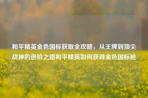和平精英金色国标获取全攻略,从王牌到顶尖战神的进阶之路和平精英如何获得金色国标枪