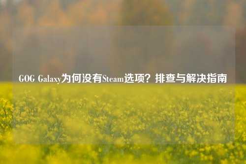 GOG Galaxy为何没有Steam选项?排查与解决指南