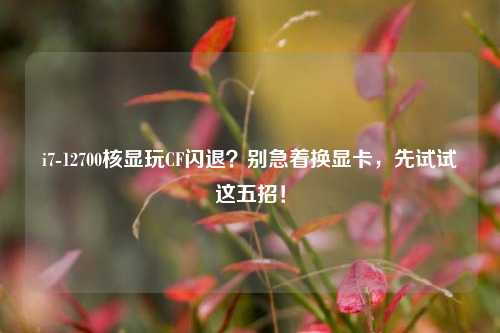 i7-12700核显玩CF闪退?别急着换显卡,先试试这五招!