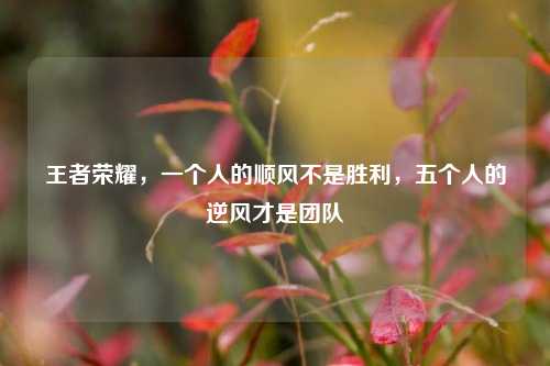 王者荣耀，一个人的顺风不是胜利，五个人的逆风才是团队