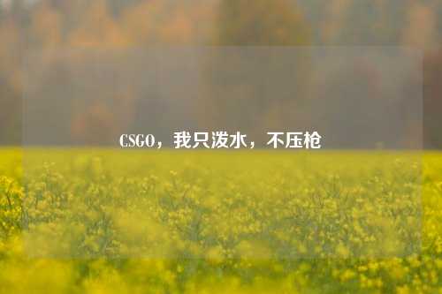 CSGO,我只泼水,不压枪