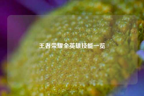 王者荣耀全英雄技能一览