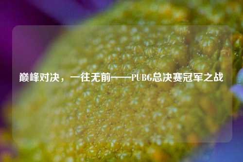 巅峰对决，一往无前——PUBG总决赛冠军之战