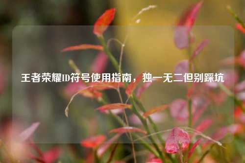 王者荣耀ID符号使用指南，独一无二但别踩坑