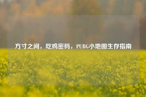 方寸之间，吃鸡密码，PUBG小地图生存指南
