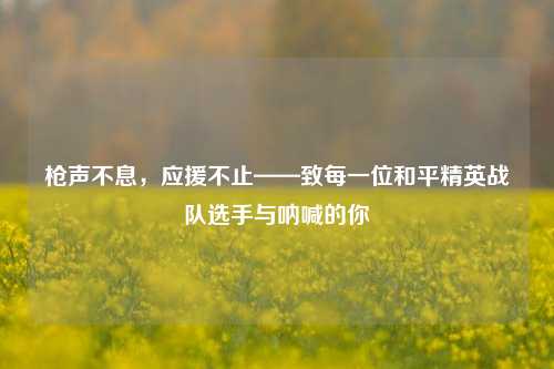 枪声不息，应援不止——致每一位和平精英战队选手与呐喊的你