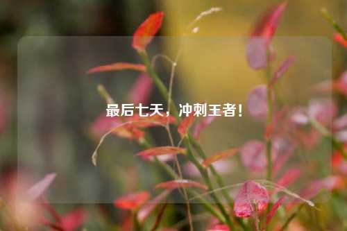 最后七天，冲刺王者！
