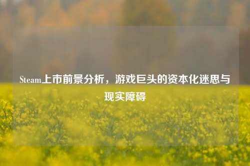 Steam上市前景分析,游戏巨头的资本化迷思与现实障碍