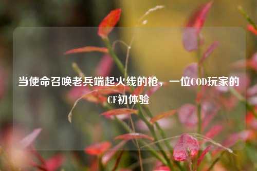 当使命召唤老兵端起火线的枪，一位COD玩家的CF初体验