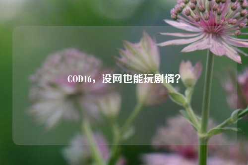 COD16，没网也能玩剧情？