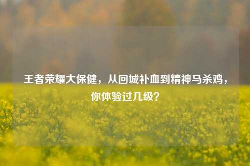 王者荣耀大保健,从回城补血到精神马杀鸡,你体验过几级?
