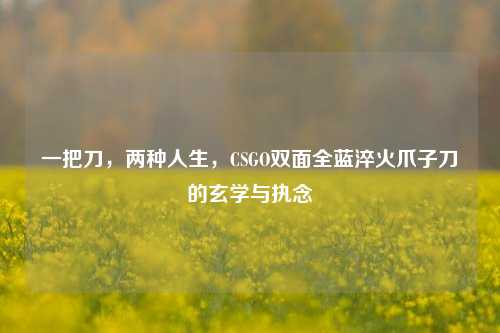 一把刀，两种人生，CSGO双面全蓝淬火爪子刀的玄学与执念