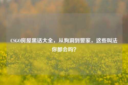 CSGO房屋黑话大全，从狗洞到警家，这些叫法你都会吗？