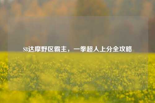 S8达摩野区霸主，一拳超人上分全攻略