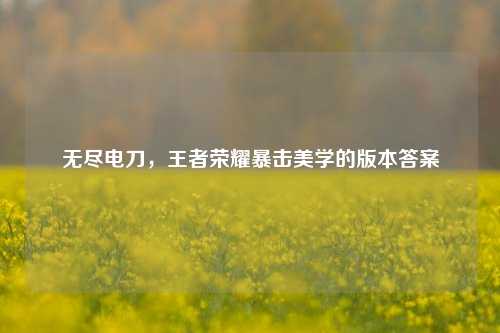 无尽电刀,王者荣耀暴击美学的版本答案