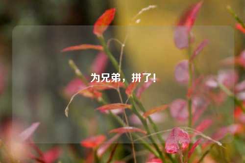 为兄弟，拼了！