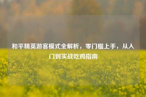 和平精英游客模式全解析,零门槛上手,从入门到实战吃鸡指南