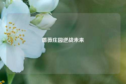 蔷薇庄园逆战未来