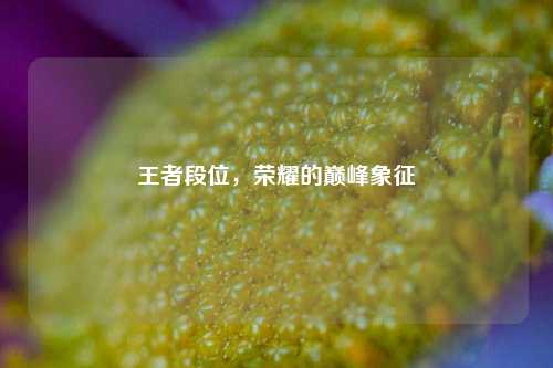 王者段位,荣耀的巅峰象征