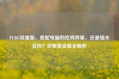 PUBG轻量版，低配电脑的吃鸡救星，还是缩水妥协？灵敏度设置全解析