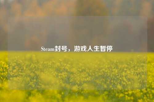 Steam封号，游戏人生暂停