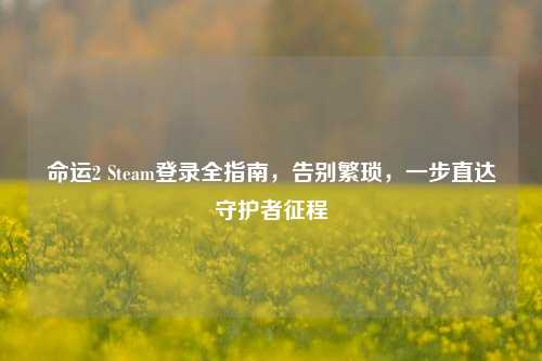 命运2 Steam登录全指南，告别繁琐，一步直达守护者征程
