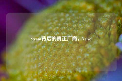 Steam背后的真正厂商，Valve